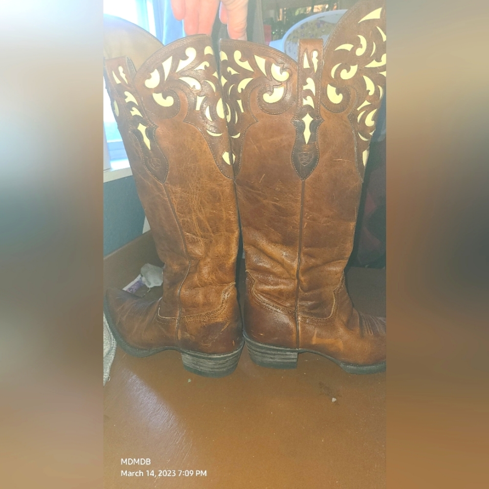 Ariat boots